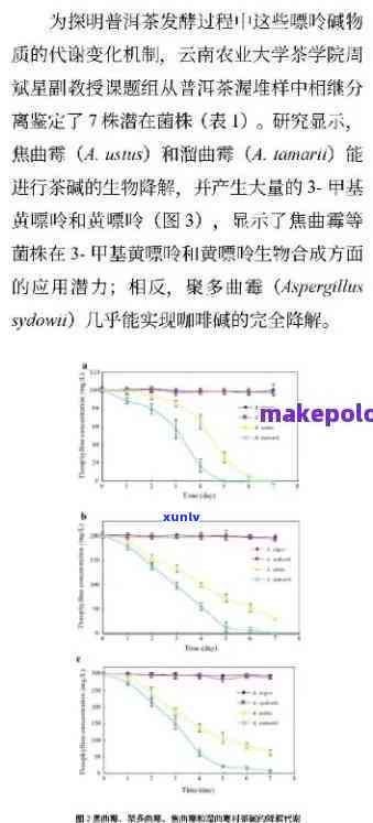 探究普洱茶活性酶：成分、作用及对人体的影响