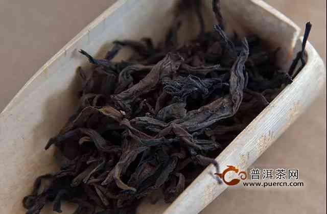 探索石头缝中的古树茶：历、文化、品鉴与制作工艺全方位解析