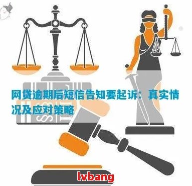 关于网贷逾期的咨询：真实性、可信度及解决策略