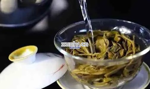 普洱茶冲泡的适宜度及水量：一次解答关于普洱茶冲泡的所有疑问