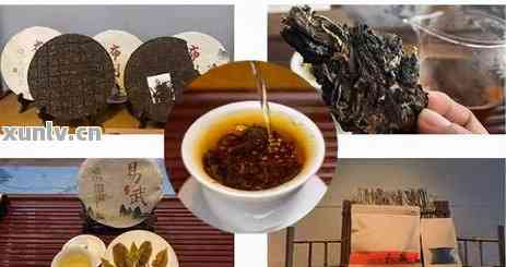 普洱茶的保存期限及品饮方法：17年后的普洱茶是否仍然可饮用？