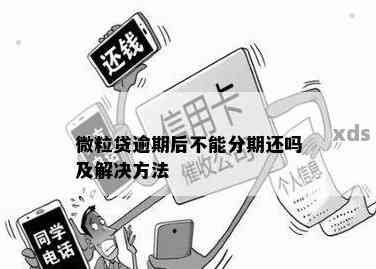 举报微粒贷逾期被取消分期怎么办：高额罚息及再次分期疑问解答