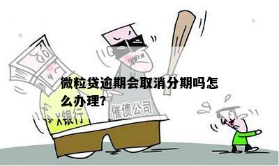 举报微粒贷逾期被取消分期怎么办：高额罚息及再次分期疑问解答