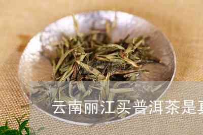 普洱茶丽江正宗吗？是真的还是假的？