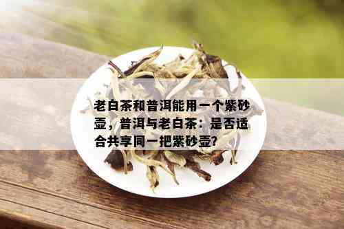 普洱茶炒茶口味有哪些特点