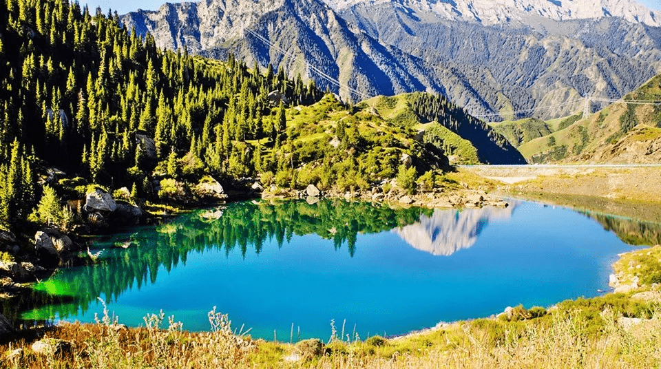 天山冰翠选飘花还是半山半水