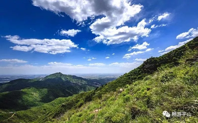 天山冰翠选飘花还是半山半水