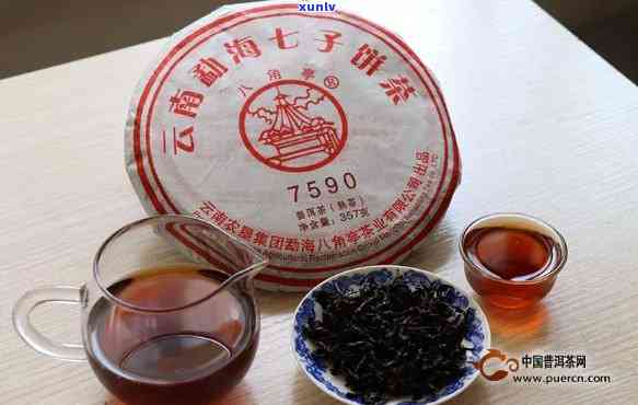 1997年云南七子饼普洱茶价格表，全面解析收藏与品饮价值