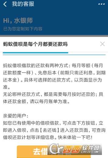 朋友是否可以帮助我还借呗的款项？