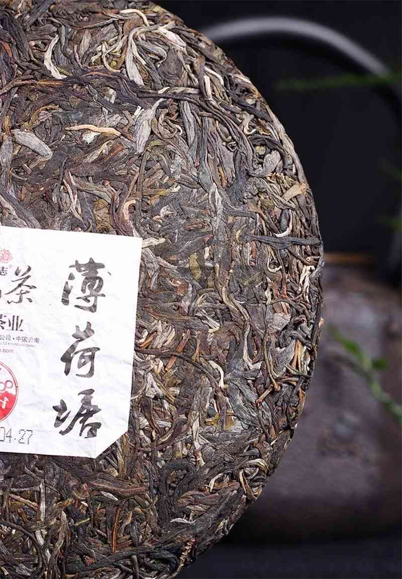 薄荷塘普洱茶生茶500克