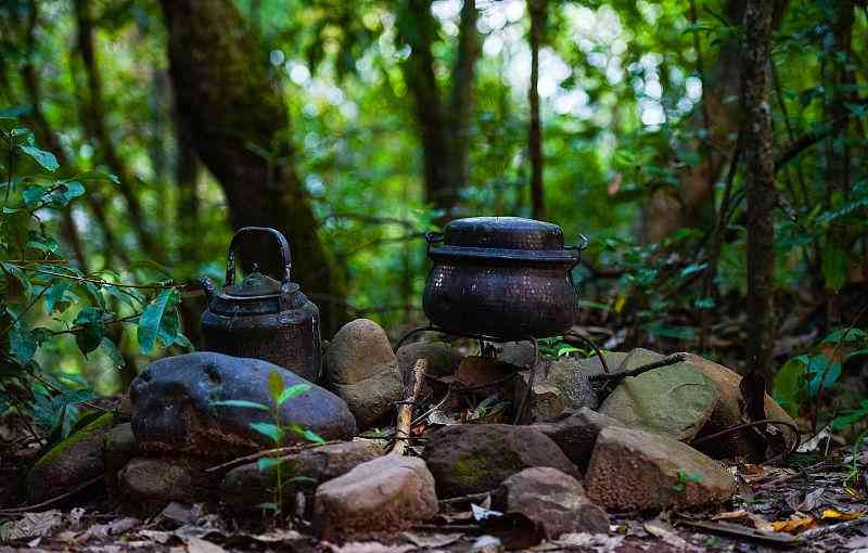 云南普洱茶之旅：探寻古树茶文化、品味地道茶香、感受茶马古道的历印记