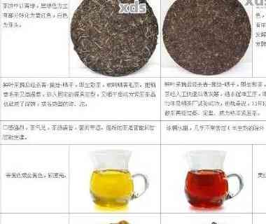 全面了解普洱茶生茶薄片组合：品种、品质与口感对比，助你轻松选购！