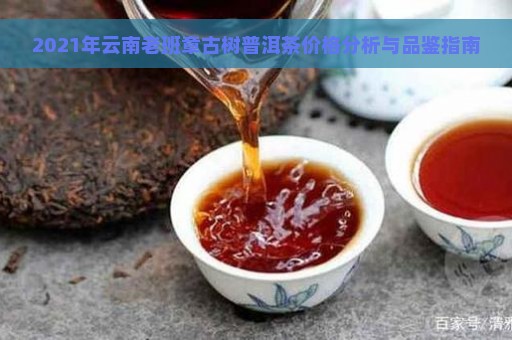 云南普洱茶老树茶价格及品质分析