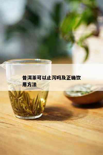 普洱茶：止泻的天然良方，喝对方法助您轻松缓解腹泻问题