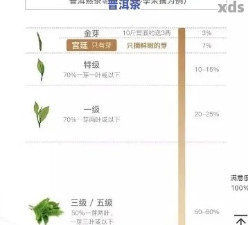 普洱茶等级揭秘：数字越小越好吗？为何等级与品质并无直接关系？