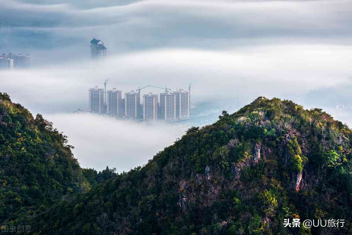 云南沧源县特产：古树普洱茶的魅力与独特风味