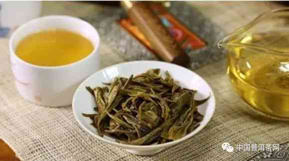 冰岛普洱茶生茶：绿茶类别还是其他？