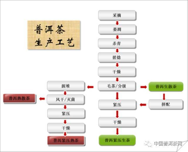 普洱茶的制作工艺与存方式：标准与行业实践的对比分析