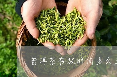 普洱茶最加保存时间是多少