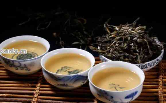 三类茶饮之争：铁观音、普洱和红茶，你更倾向哪一种？