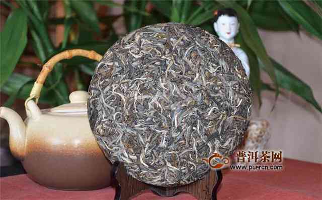 金花普洱茶：一种独特的发酵茶，揭秘其与乌龙茶的区别