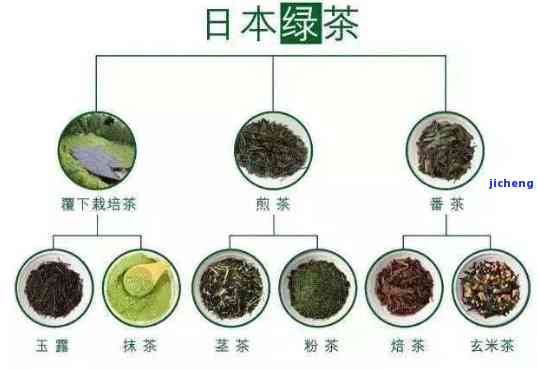 探究人对中国茶的喜好：品种、口味及其在日常生活中的地位