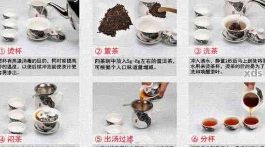 探究普洱茶的正确泡发方法：你需要了解的关键步骤和技巧！