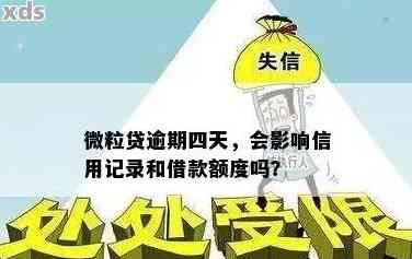 微立贷逾期5天后果全面解析：如何避免影响个人信用并解决逾期问题？