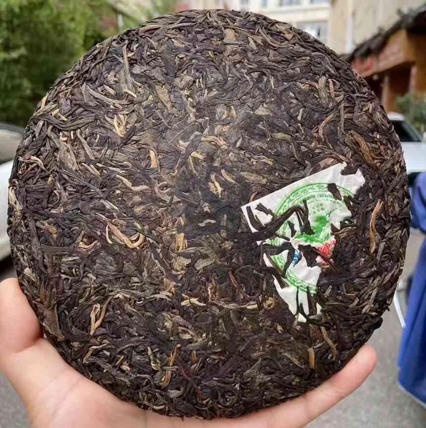 老曼峨普洱茶500年树龄