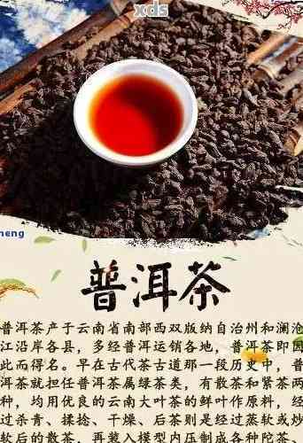 探索全球普洱茶：哪里的茶叶更受欢迎，口感？