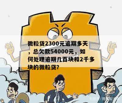 微粒贷逾期没钱还可以几百几百还吗？如何处理？