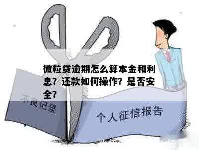 微粒贷逾期还款策略：如何分期偿还本金避免高额逾期费用？