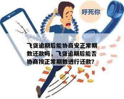 微粒贷逾期还款，是否可以选择仅还本金？