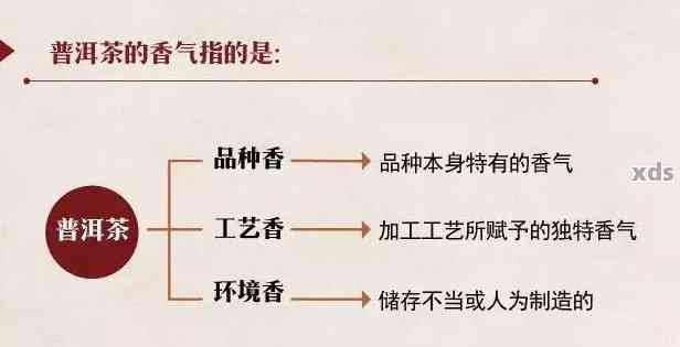 普洱茶的茶香形成原因分析