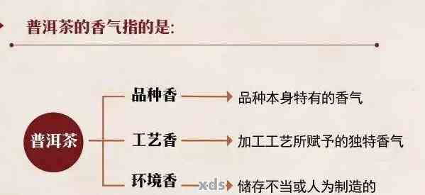 普洱茶香气的全面解析：从起源、分类到品鉴，助你深入了解普洱茶的魅力