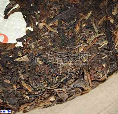 兴海茶厂熟普茶价格表与品质分析，了解7533熟茶及其他兴海茶厂熟茶特色