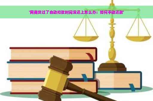 比较网商贷手动还款与自动扣款：哪种方式更适合我？