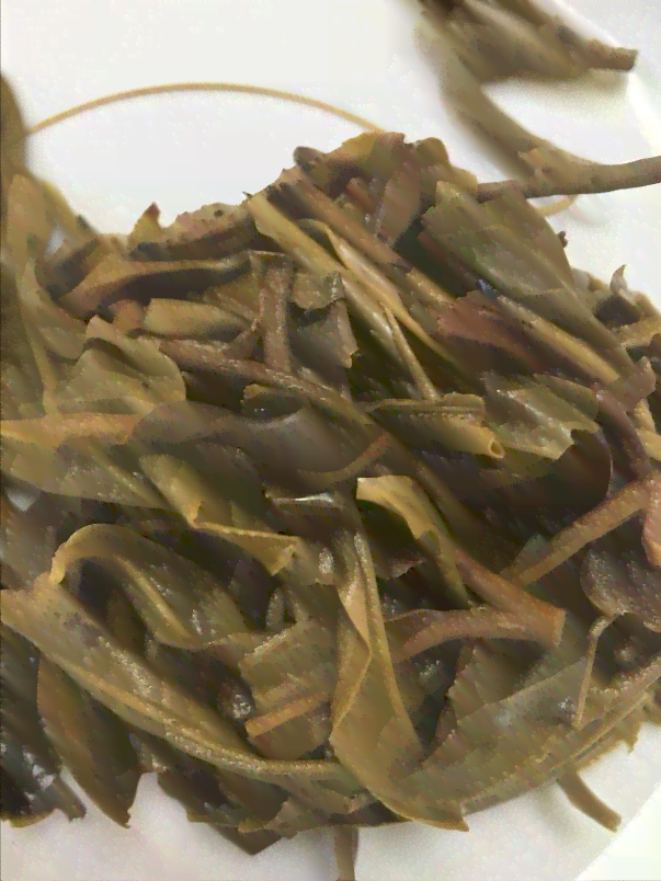 探索普洱茶生茶与熟茶：哪个更适合你的口味？