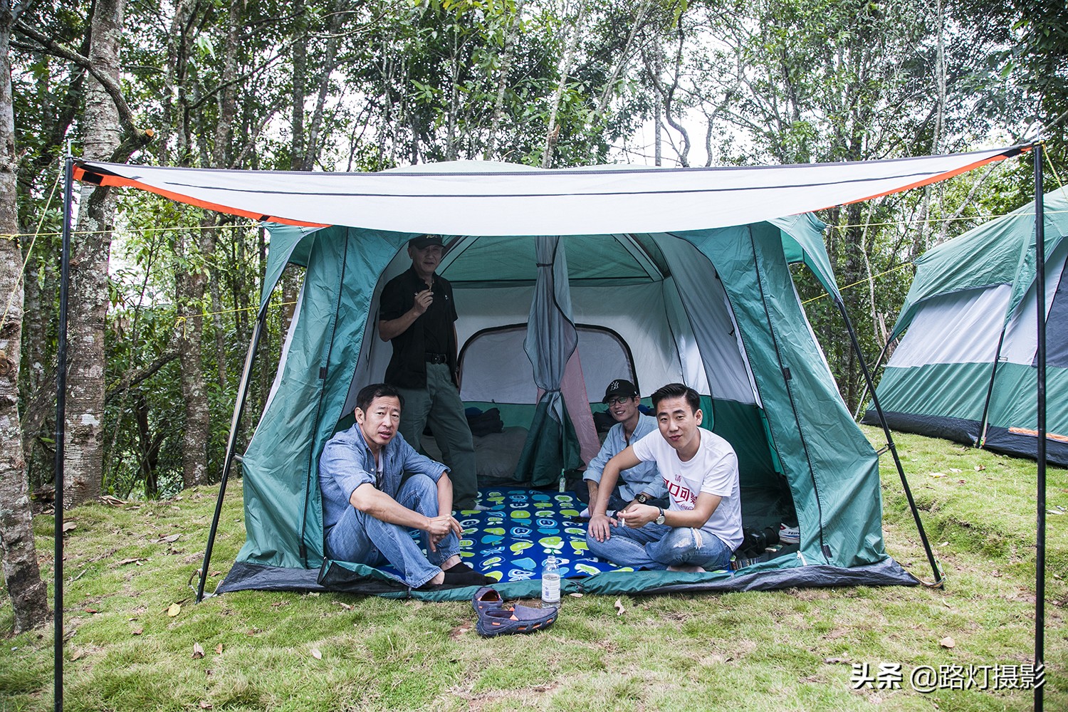 探寻普洱茶：小众山头的秘密与价值