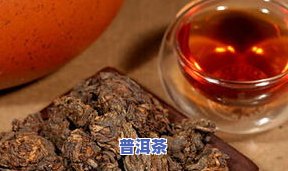 决明子与普洱茶减肥效果比较：哪个更有效？