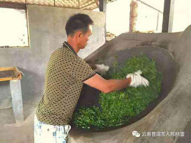 新工艺对普洱茶生茶与熟茶的影响：探究其制作过程与品质变化