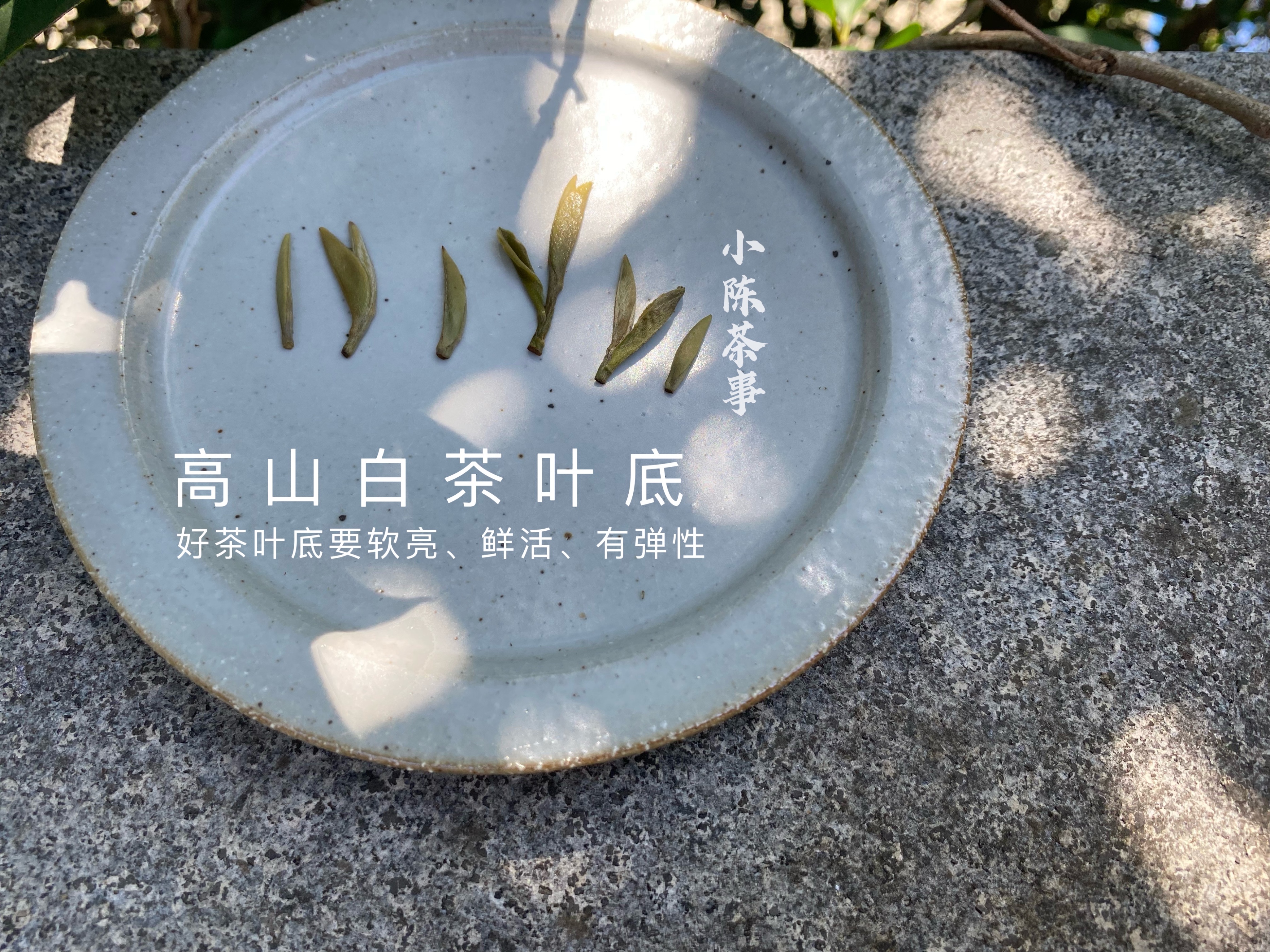 普洱茶王茶后是什么茶： 评价，功效与作用，以及茶业集团公司的详细介绍