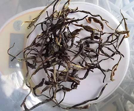 普洱茶中的茶王：详细介绍、品种分类与品鉴方法