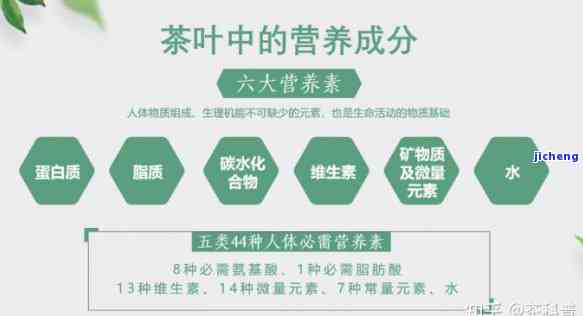 花香普洱茶的营养成分、功效与禁忌：一篇全面解答茶叶健价值的探索