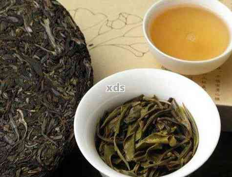 新 泰普洱茶7538,古树茶价格与品质详解