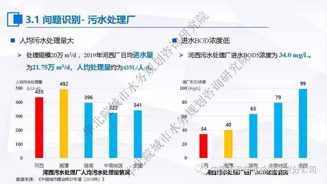 天山翠价格实惠原因解析：质量、工艺与市场策略的深度剖析