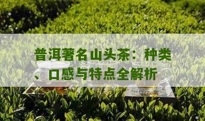 普洱茶山头茶名大全：好听的茶名一览，助你轻松挑选心仪茶叶