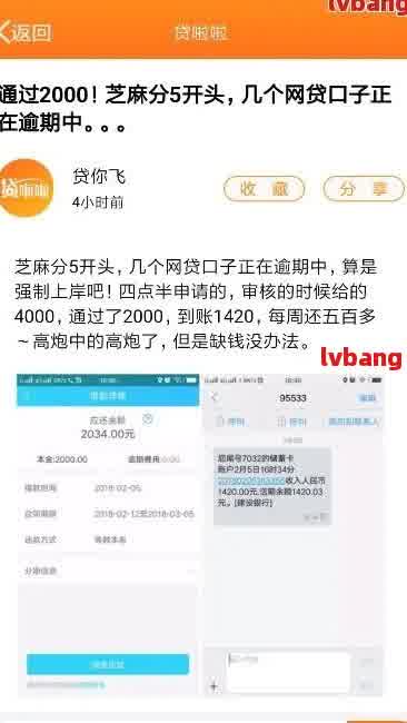 逾期贷款几年后仍可申请的口子：解决您的信用问题及还款困扰