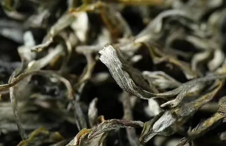 普洱茶山头好听的茶名：普洱茶有哪些优美的茶名？