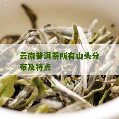 普洱茶山头有哪些茶名好听